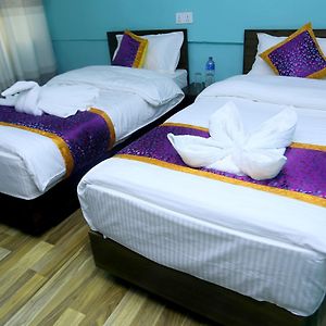 Single Bed Mixed Dormitory Room